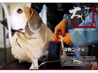 【新快報(bào)】動(dòng)物急診室