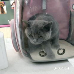 電話,地址,價(jià)格,營業(yè)時(shí)間 圖 北京寵物