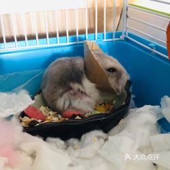 電話,地址,價(jià)格,營業(yè)時(shí)間 圖 廣州寵物