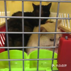 電話,地址,價(jià)格,營業(yè)時(shí)間 圖 北京寵物