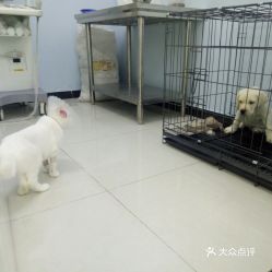 電話,地址,價(jià)格,營業(yè)時(shí)間 北京寵物