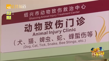 近期高發(fā)!紹興醫(yī)院一天接診40例,有阿姨被倉鼠咬傷