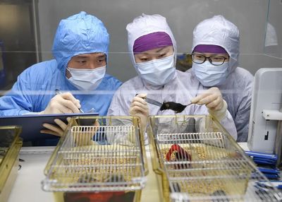 “讓實驗動物像人一樣被善待”