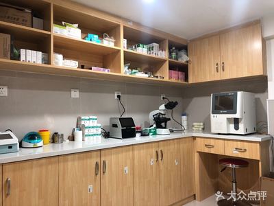 【科道動物醫院團購】-大眾點評網團購