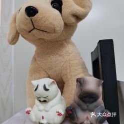 電話,地址,價格,營業時間 上海寵物