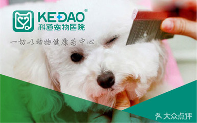 【科道動(dòng)物醫(yī)院團(tuán)購(gòu)】