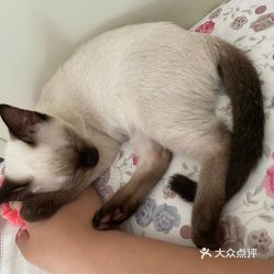 電話(huà),地址,價(jià)格,營(yíng)業(yè)時(shí)間 北京寵物