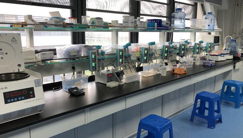 36氪首發 ad早篩產品研發商天浚元生生物獲數百萬元天使輪融資,戰投方為國高生物