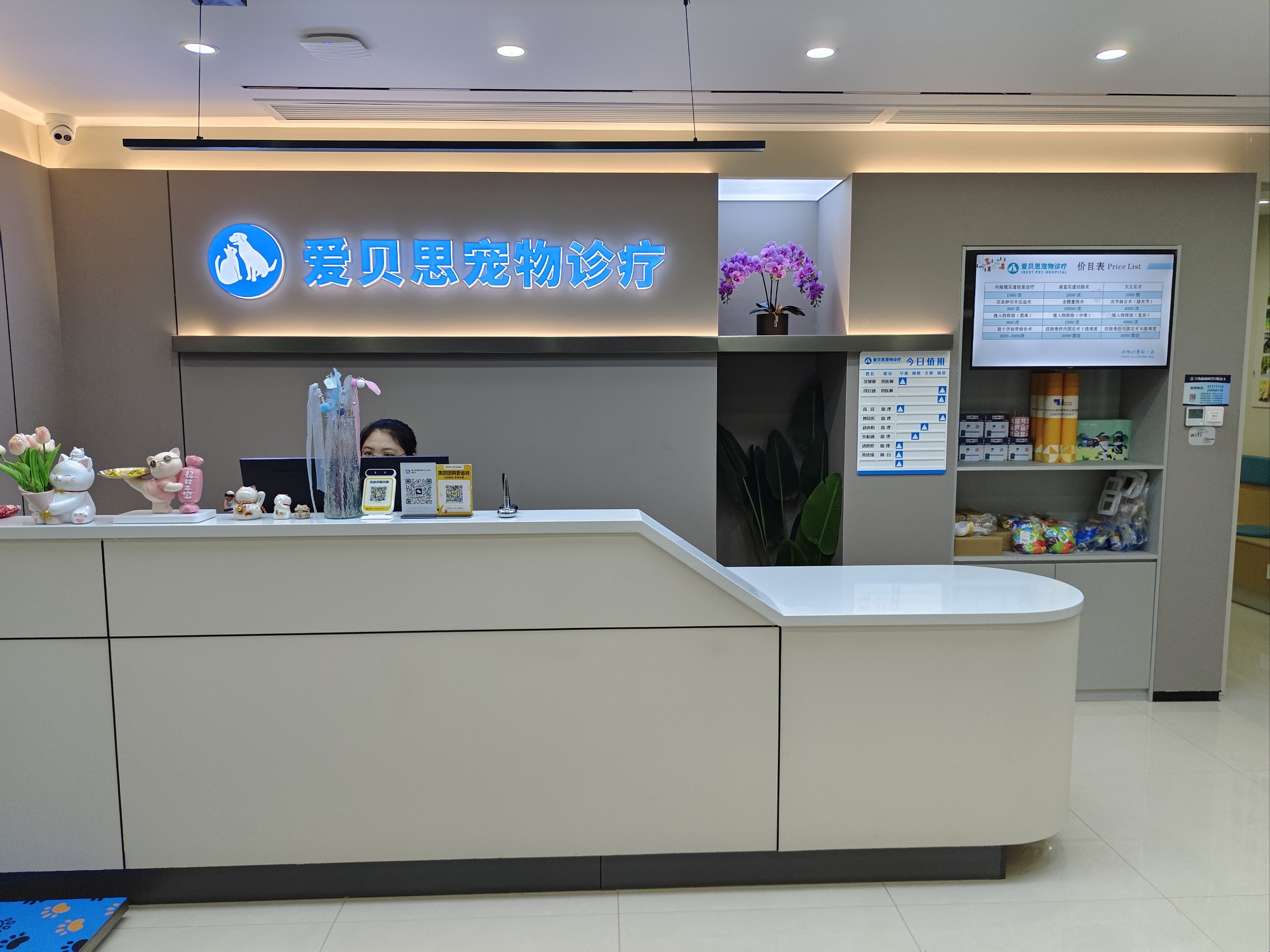 帶著毛孩子去寵物醫院的一天