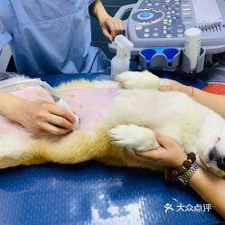 諧和益家動物醫院(高新天悅店)