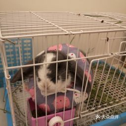 浙江大學(xué)動(dòng)物科學(xué)學(xué)院附屬動(dòng)物醫(yī)院地址,浙江大學(xué)動(dòng)物科學(xué)學(xué)院附屬動(dòng)物醫(yī)院電話,浙江大學(xué)動(dòng)物科學(xué)學(xué)院附屬動(dòng)物醫(yī)院圖片 360地圖