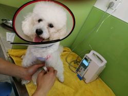 心之旅動(dòng)物醫(yī)院的全部評(píng)價(jià)