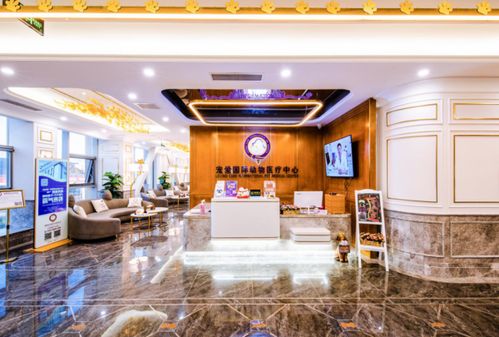 2020亞寵展寵愛國際動(dòng)物醫(yī)院 專業(yè)與關(guān)愛，slay全場(chǎng)