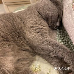 南京寵物動物醫院指南 電話、地址、價格與營業時間信息