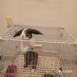 浙江大學動物科學學院附屬動物醫院詳細信息