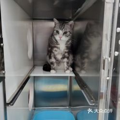 杭州寵物動物醫院綜合指南 電話、地址、價格與營業時間