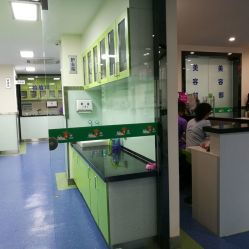 西安瑞麗康德動物醫院——全方位寵物醫療服務指南