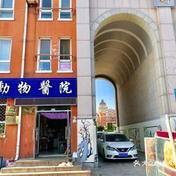 萬圣動物醫院詳細指南 地址、電話及地圖信息