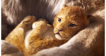 重溫童年，溫暖同行——米樂動(dòng)物醫(yī)院VIP免費(fèi)觀影活動(dòng)回顧