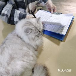 貴陽(yáng)牧濟(jì)堂動(dòng)物醫(yī)院觀山湖分院——專業(yè)守護(hù)寵物健康的溫馨港灣