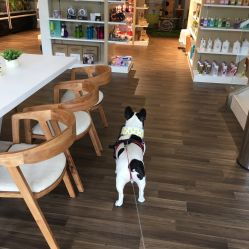 寵頤生動物醫(yī)院 My Pet Zone 為愛寵健康保駕護(hù)航的溫馨港灣