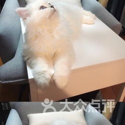 全心全意連鎖動物醫(yī)院管莊店 關(guān)愛寵物，健康相伴